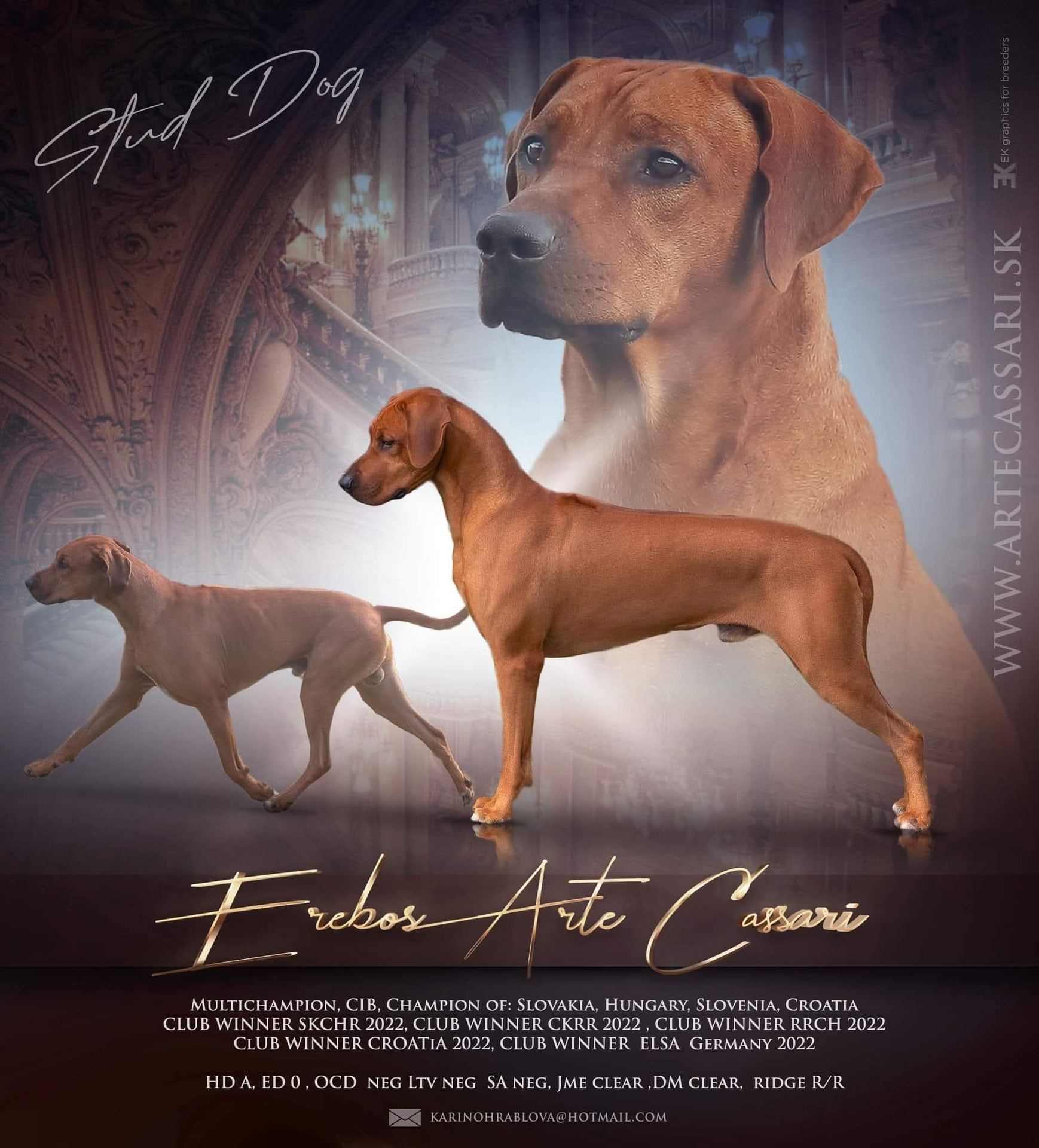 Erebos Arte Cassari plagát