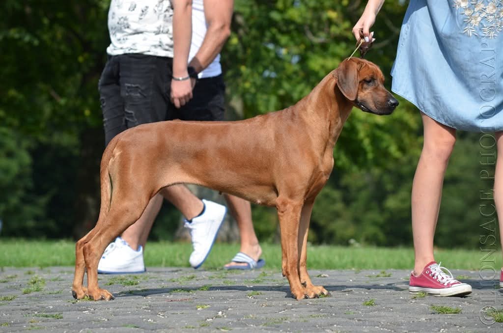 E'Zena 5