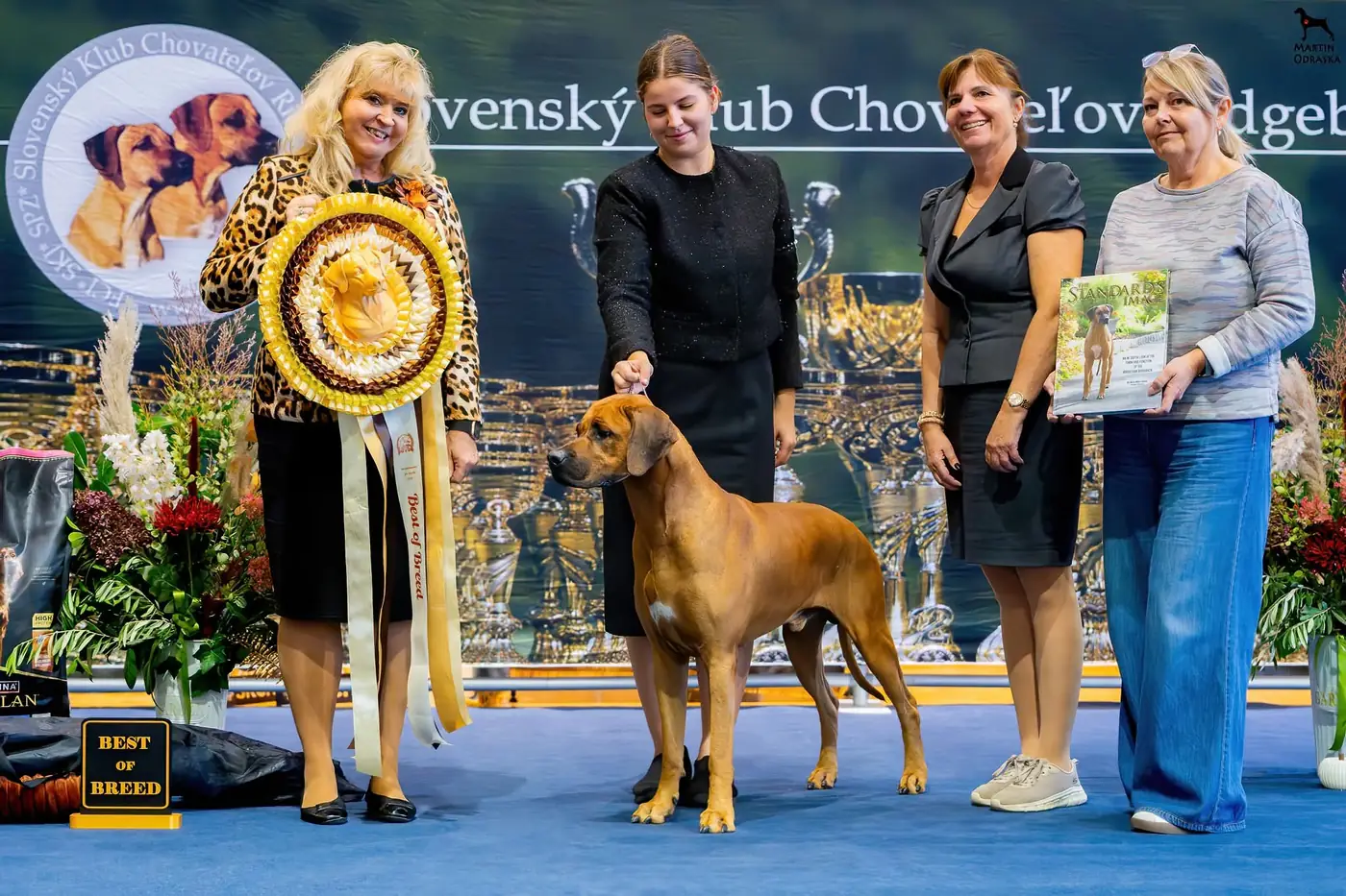 Noah s rozetou Best of Breed na Central European Specialty Show SKCHR 2026