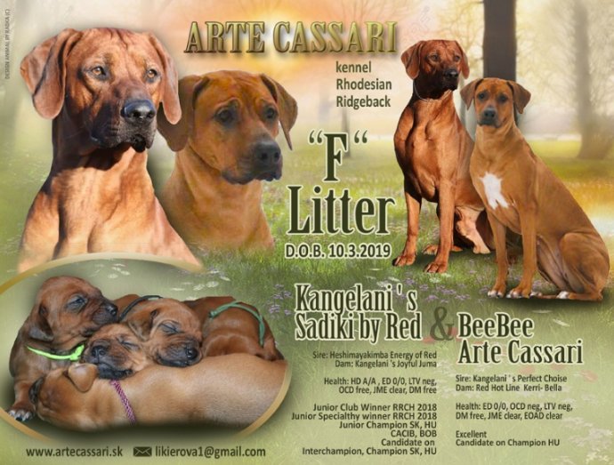 Vrh F – Arte Cassari