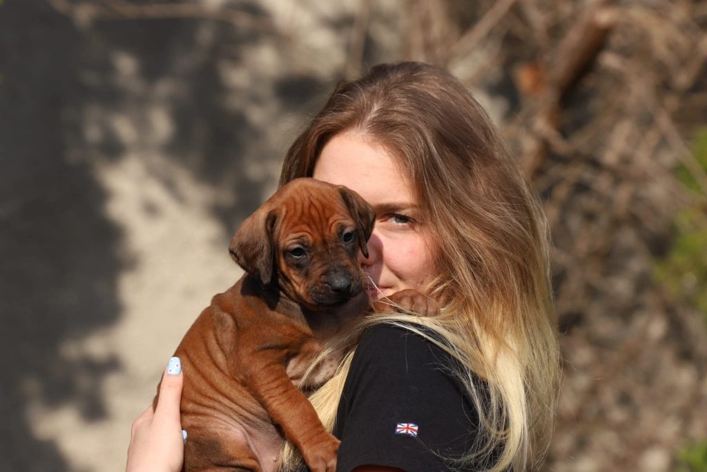 Litter L – photo gallery 7