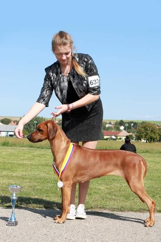 E'Zena Arte Cassari